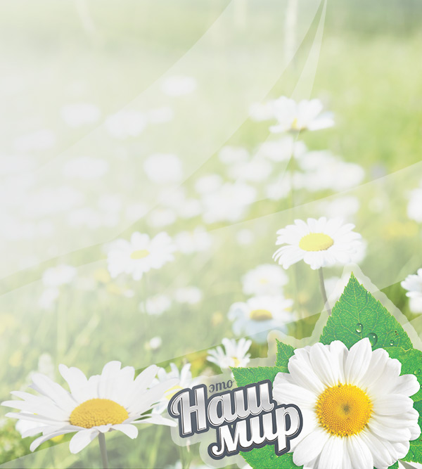 Фалкон Логистик mobile