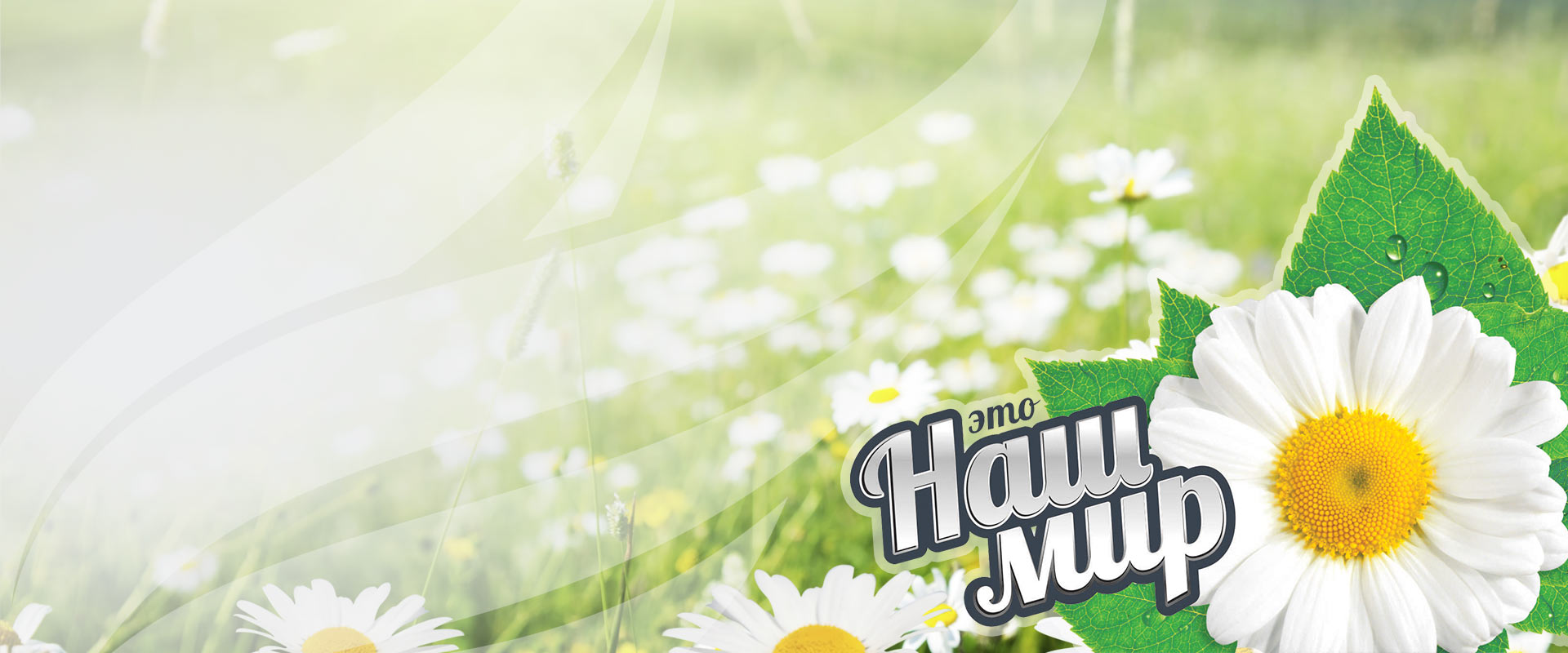 Фалкон Логистик