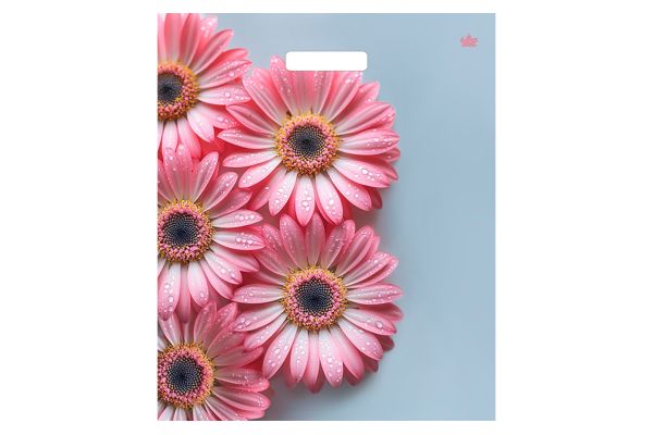 Пакет 38*45 (60мкм) "Герберы Шанис" Тико